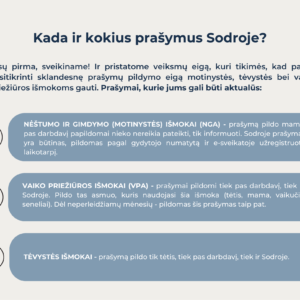 ATMINTINĖ nr. 2 – Motinystės ir Vaiko Priežiūros Išmokų prašymų pildymas ir eiga