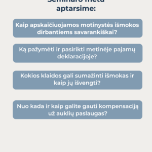 Seminaras – „Motinystės išmokos dirbant savarankiškai – su IDV”