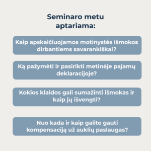 Seminaro įrašas – „Motinystės išmokos dirbant savarankiškai – su IDV”