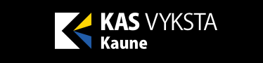 konferencija tapti ne tik buti teisininke greta uzkuraite motinystes ismokos ir vaiko prieziuros atostogos